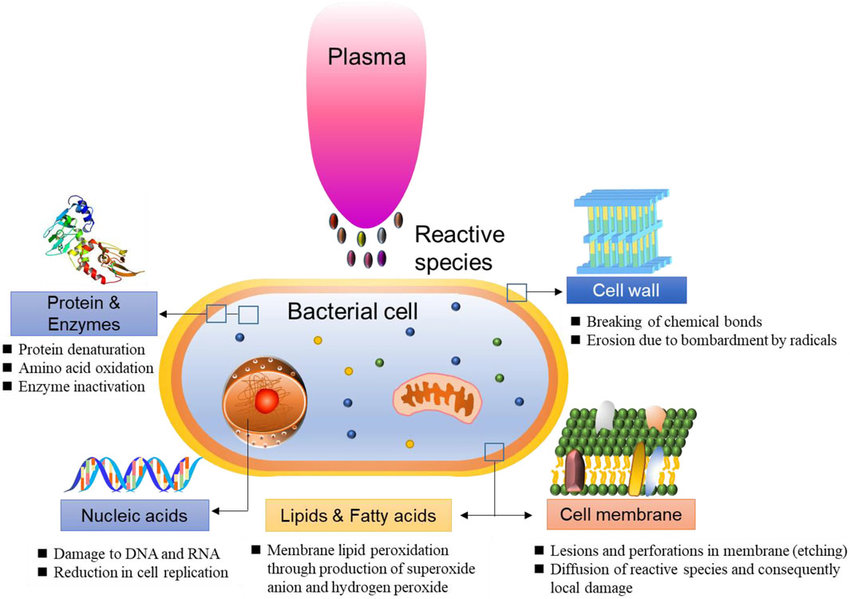 plasma